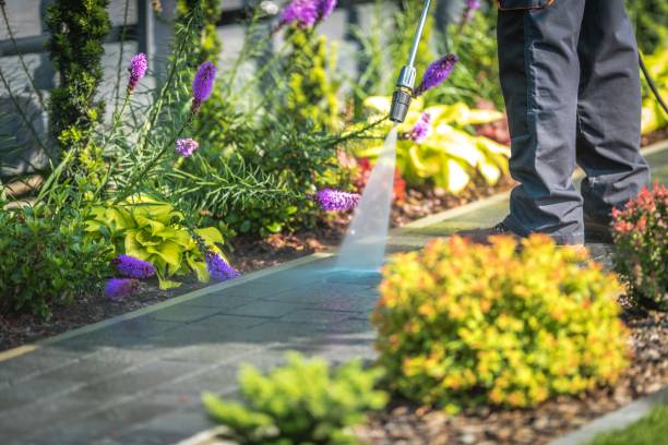 Best Winterizing Services  in Lewisburg, OH
